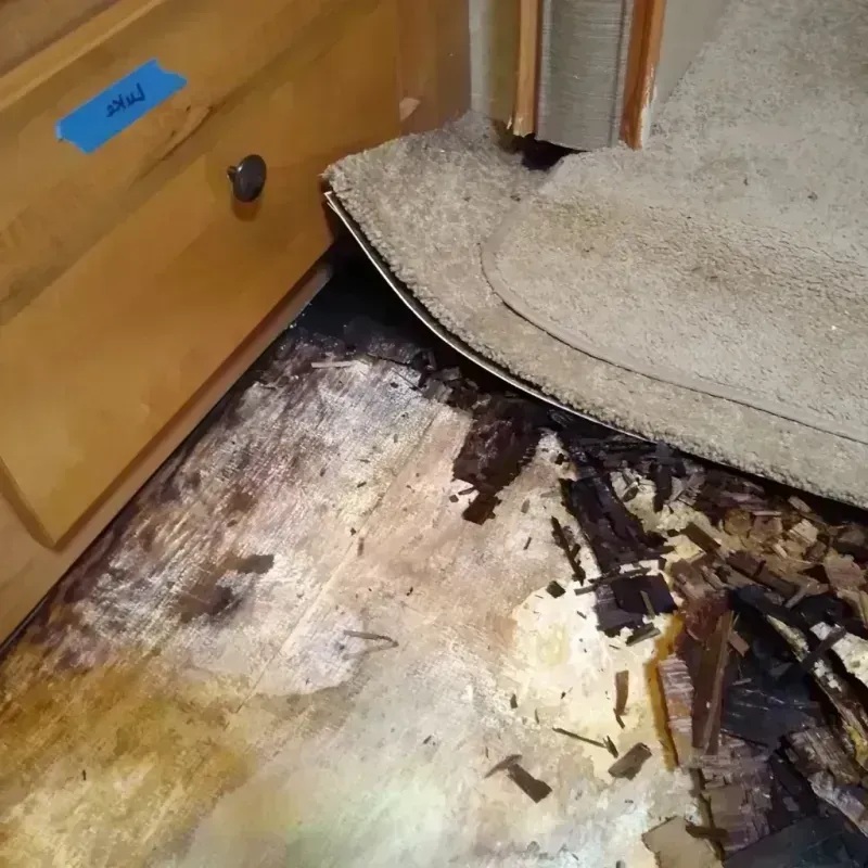 Wood Floor Water Damage in Hancock County, IL